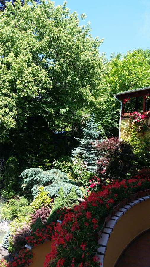 Pensiunea Europa Târgu-Mureş Extérieur photo