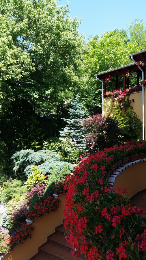 Pensiunea Europa Târgu-Mureş Extérieur photo
